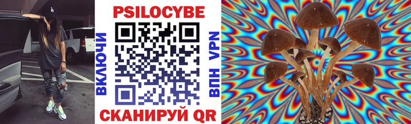 shop какой сайт  Луга  Псилоцибиновые грибы Cubensis 